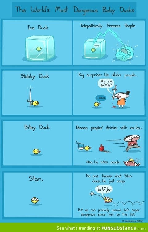 The world's most dangerous baby ducks