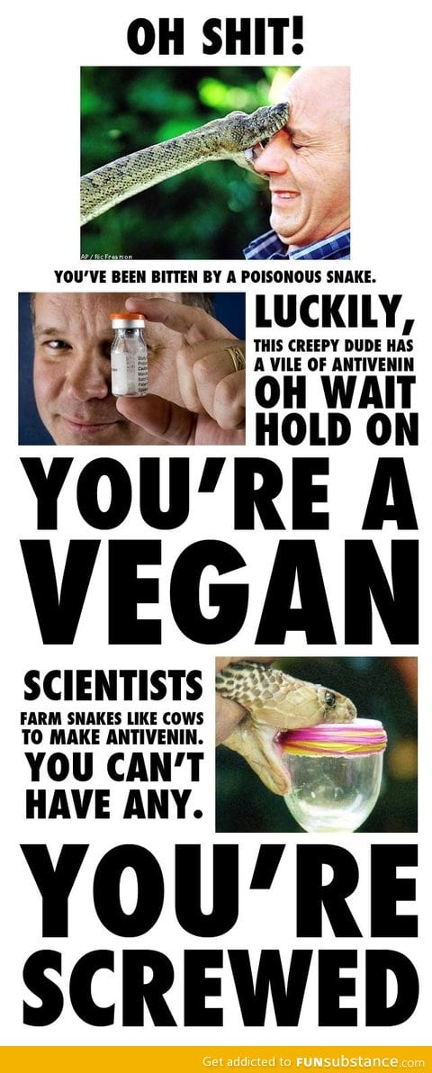Vegans can't use anti-venom