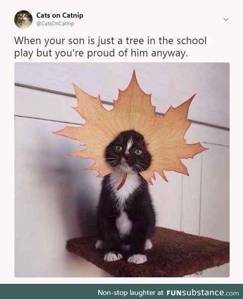 Handsome boi