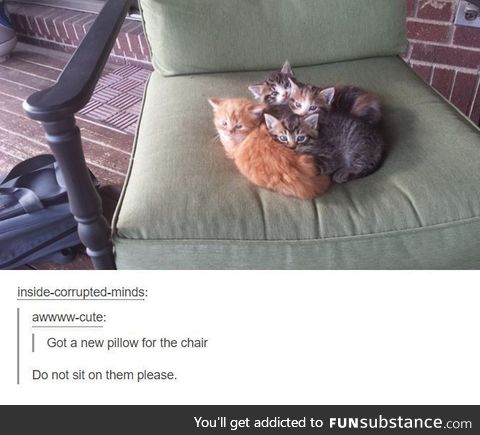 Looks soft