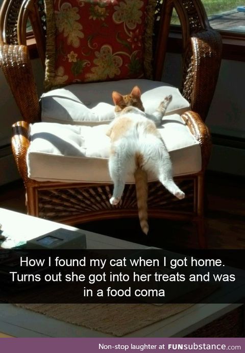 Too full