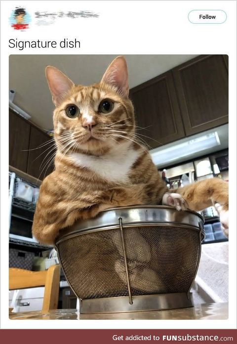 Yummy