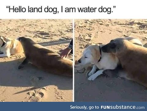 Helloooo !