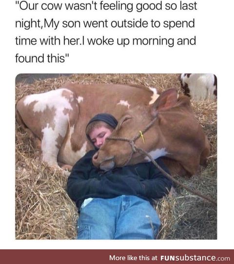 Love this care level
