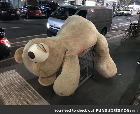 Go home Bear, you’re drunk