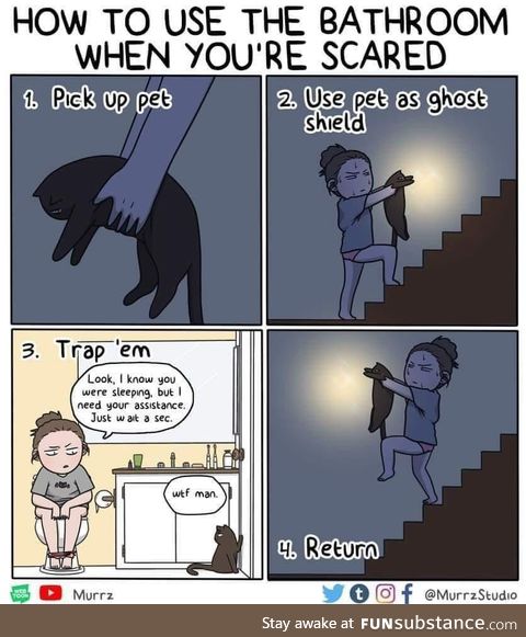 My cat the protector
