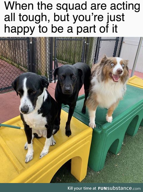 Being included can mean the world to some of us