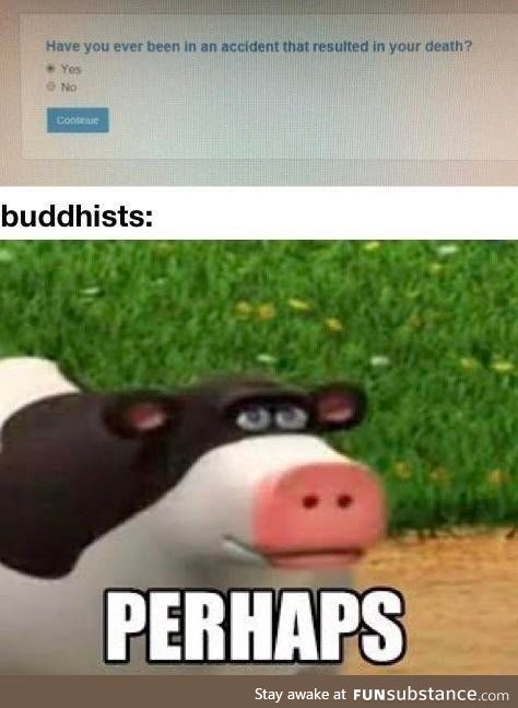 Perhaps I have