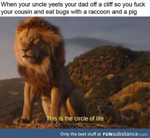 The lion king summerized