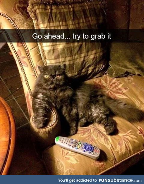 I dare you