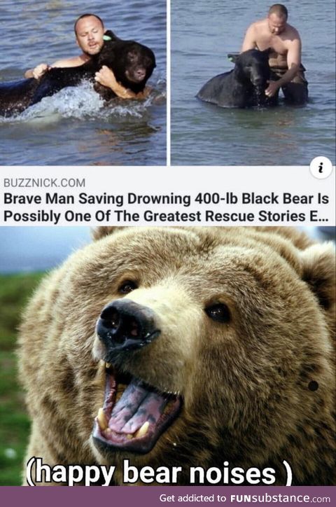 Bears are great
