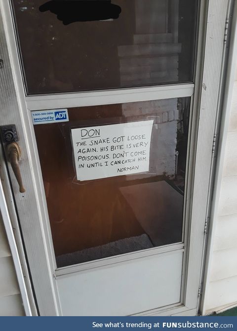 I deliver packages for Amazon, and came across this high tech security system