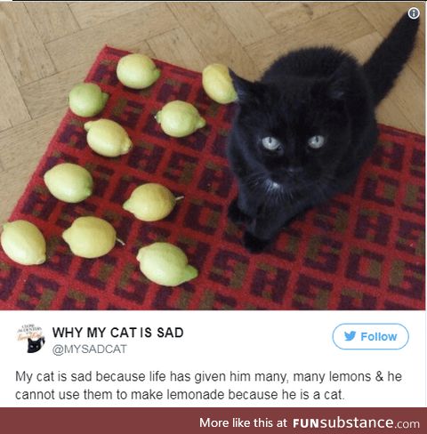 It's a catastrophe