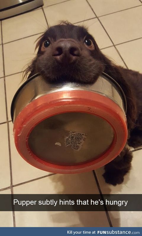 Puppy eyes