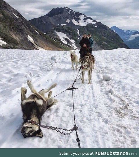 A flat tire in Alaska