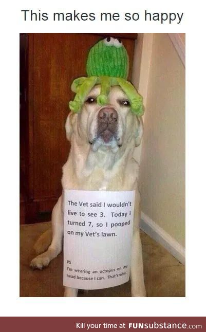 Brave boi :)