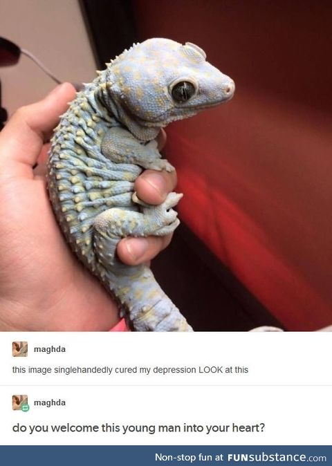 Cute boi