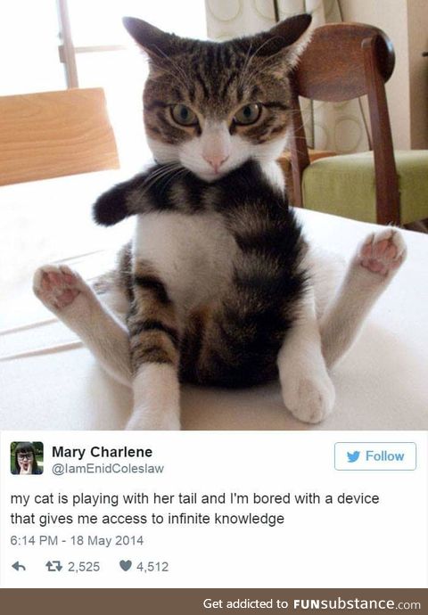 Toe beans