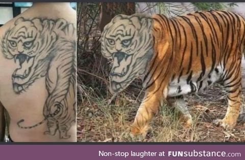 Now that's a scary tiger