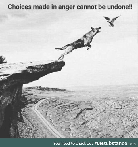 Photo that became inspiration for Warner Bros. "Road Runner and Wile E. Coyote"