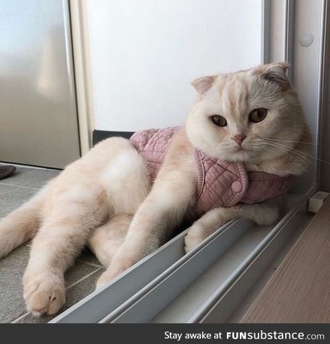 Soft and fashionable