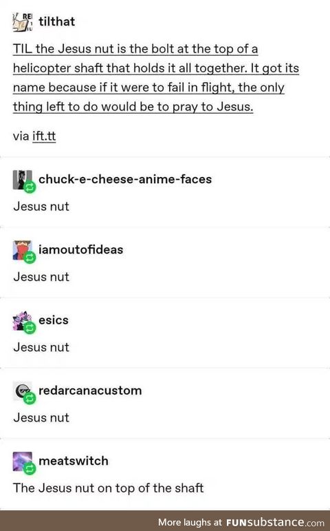 Jesus nut