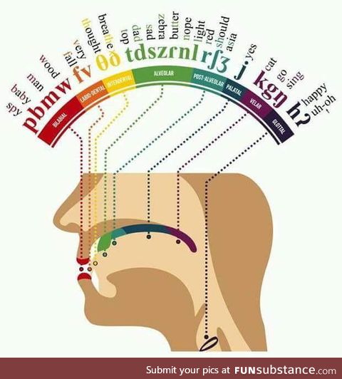 Where certain sounds are produced in your mouth. (Read the words from start to finish)