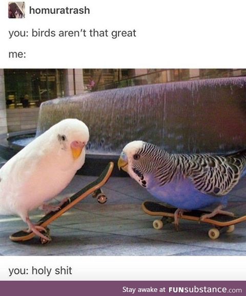 *kick flips*