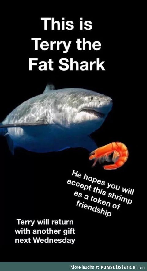 We never got another terry the shark, bring him back every Wednesday please!