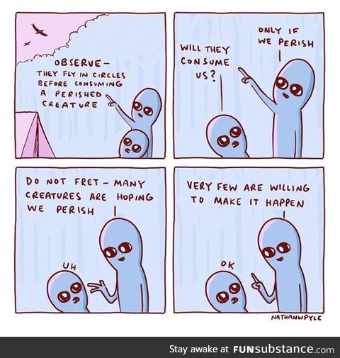 Observe