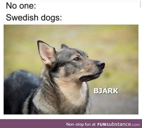 ( In a swedish accent ) Sven is that you ?