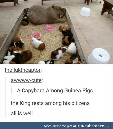 Big boi