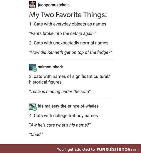 Cats with names of food