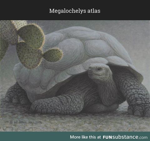 Daily Dose of Prehistory: Back From Extinction 130