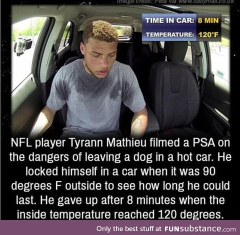 Good job, Tyrann!