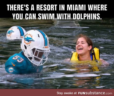 Swim with the dolphins