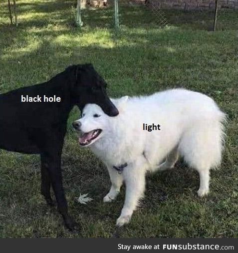 Science, b*tch
