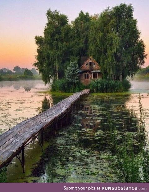 Abandoned swamp house in the morning