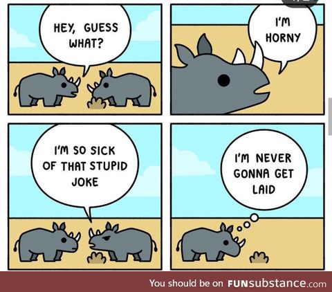 Poor rhino
