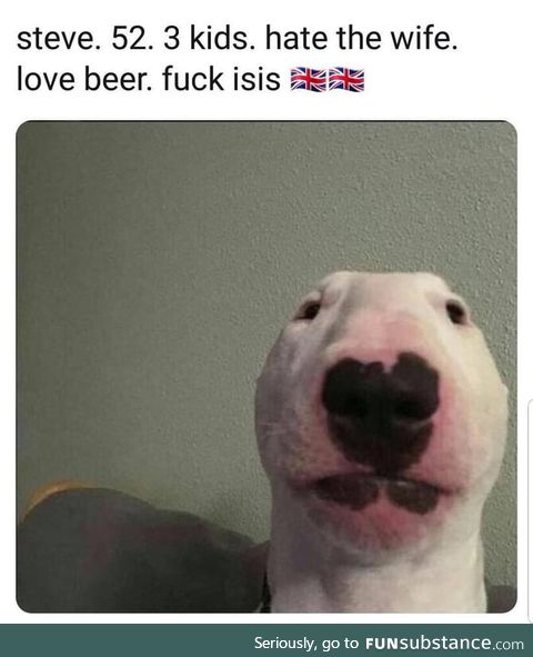 I think everyone knows a Steve