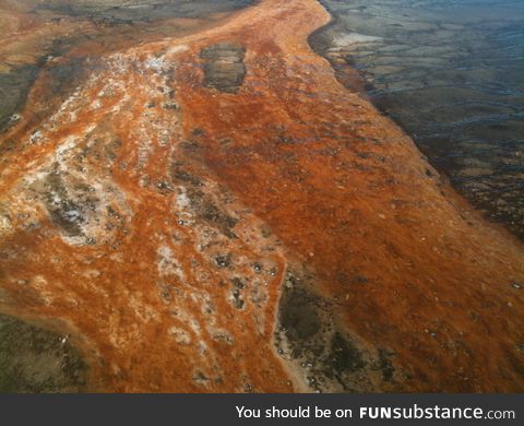 Pics from Wyoming part 5, this is also at the spring, it's the bacteria growing