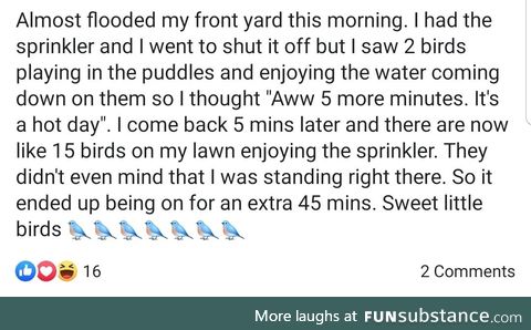 Flood the yard for bird bro