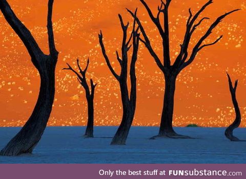 This isn't a painting, instead its a photo of trees in front of a sand dune at dawn