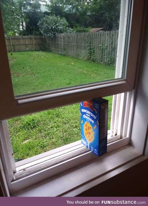 Mac now supports Windows