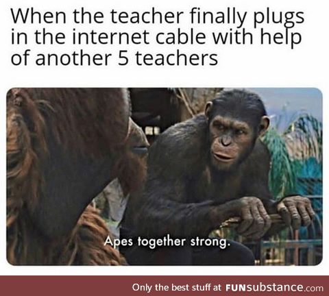I'm monkey