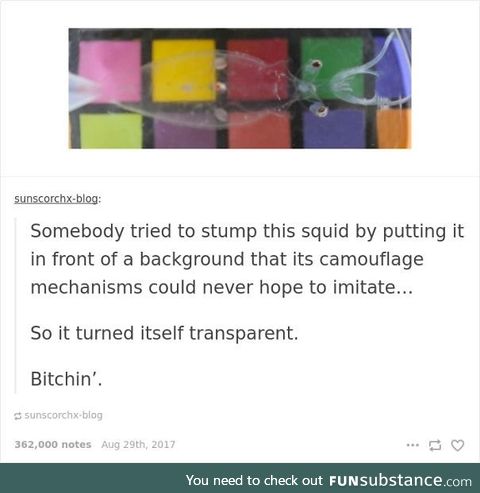 Well played, Mr. Shrimp