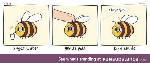 All The Ways To Bee