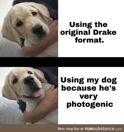My dog&gt;Drake