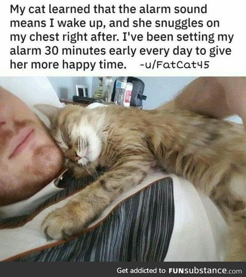 The Best Part of Waking Up.. Happy Cat Time