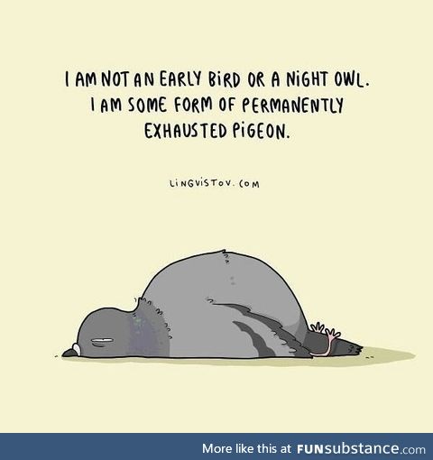 Permanently Exhausted Pigeon